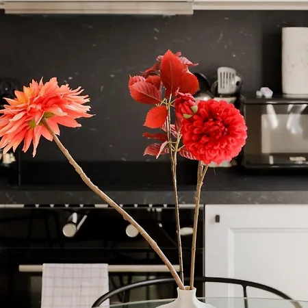 Modern 3br Duplex Near Port & Old Town | By Airnest * ニース